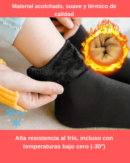 Calcetines Térmicos Polar Premium Pack (x24 unidades)